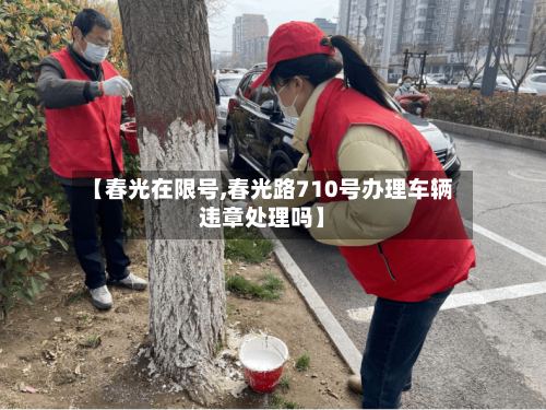 【春光在限号,春光路710号办理车辆违章处理吗】-第3张图片