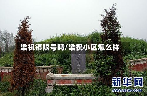 梁祝镇限号吗/梁祝小区怎么样-第2张图片