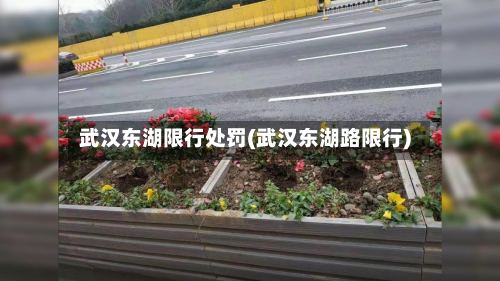 武汉东湖限行处罚(武汉东湖路限行)