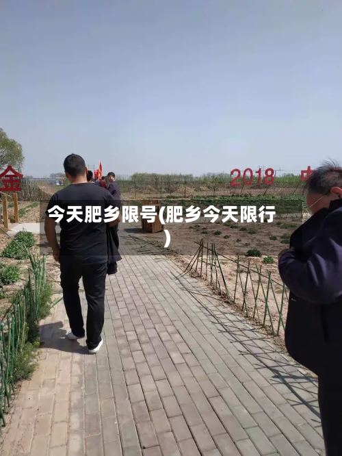 今天肥乡限号(肥乡今天限行)-第2张图片