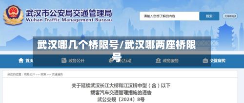 武汉哪几个桥限号/武汉哪两座桥限号-第2张图片
