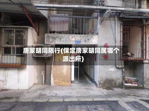 唐家胡同限行(保定唐家胡同属哪个派出所)