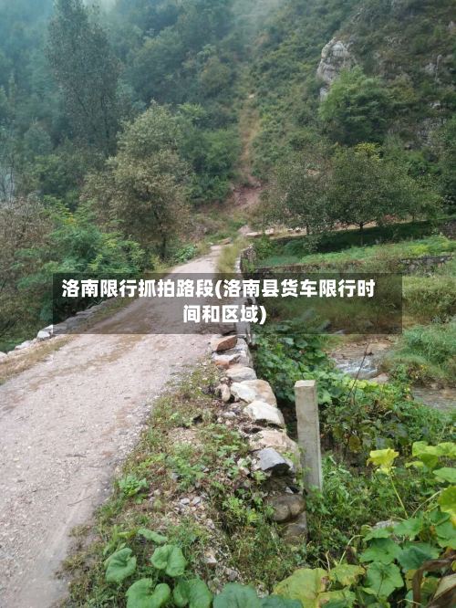 洛南限行抓拍路段(洛南县货车限行时间和区域)