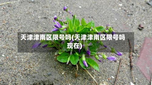 天津津南区限号吗(天津津南区限号吗现在)-第2张图片