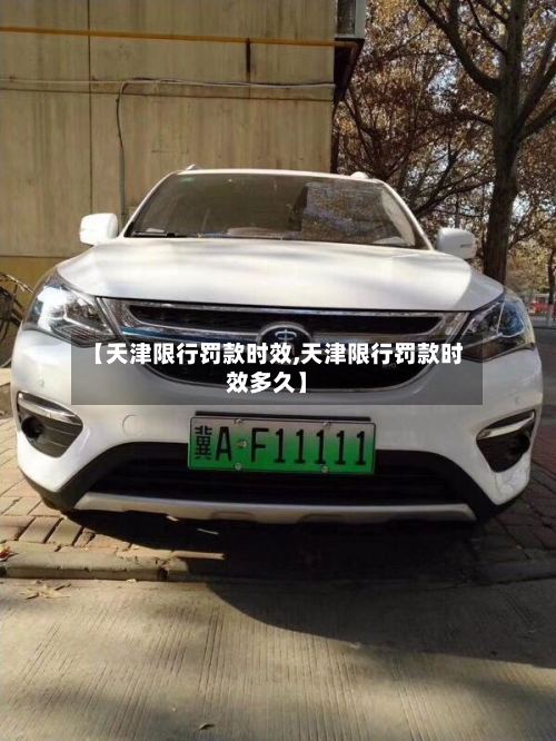 【天津限行罚款时效,天津限行罚款时效多久】-第2张图片