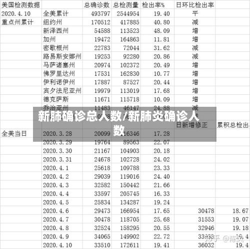 新肺确诊总人数/新肺炎确诊人数-第2张图片