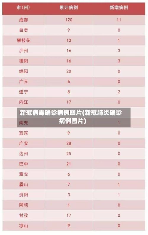 新冠病毒确诊病例图片(新冠肺炎确诊病例图片)-第3张图片