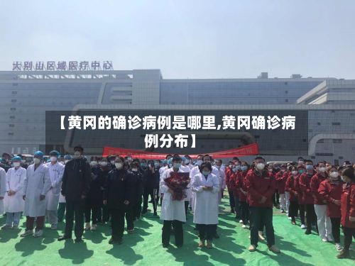 【黄冈的确诊病例是哪里,黄冈确诊病例分布】