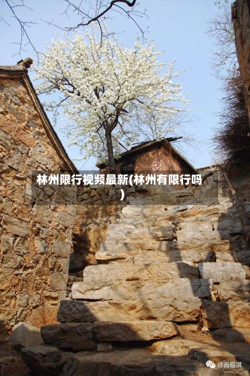 林州限行视频最新(林州有限行吗)