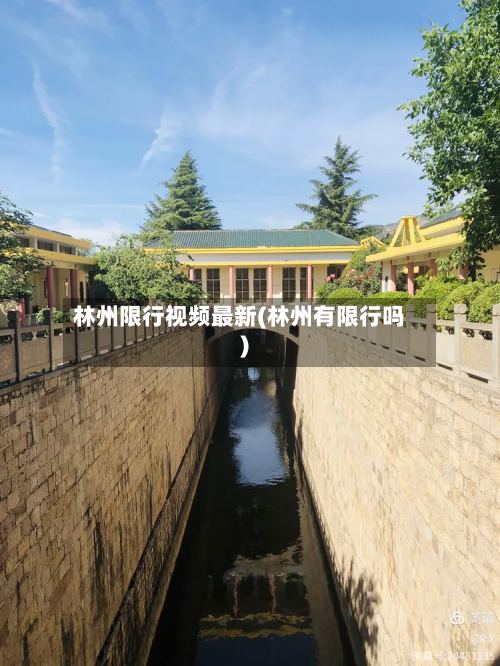林州限行视频最新(林州有限行吗)-第3张图片