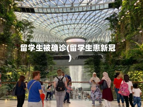 留学生被确诊(留学生患新冠)-第3张图片