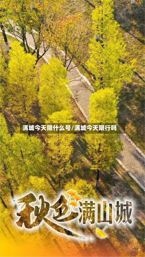 满城今天限什么号/满城今天限行吗