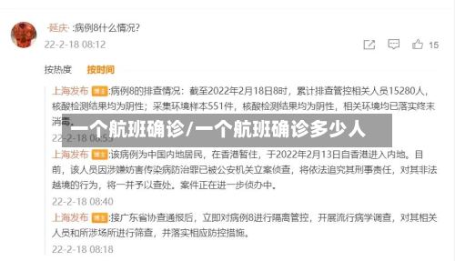 一个航班确诊/一个航班确诊多少人