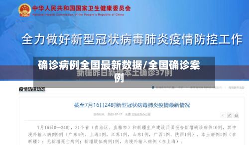确诊病例全国最新数据/全国确诊案例-第3张图片