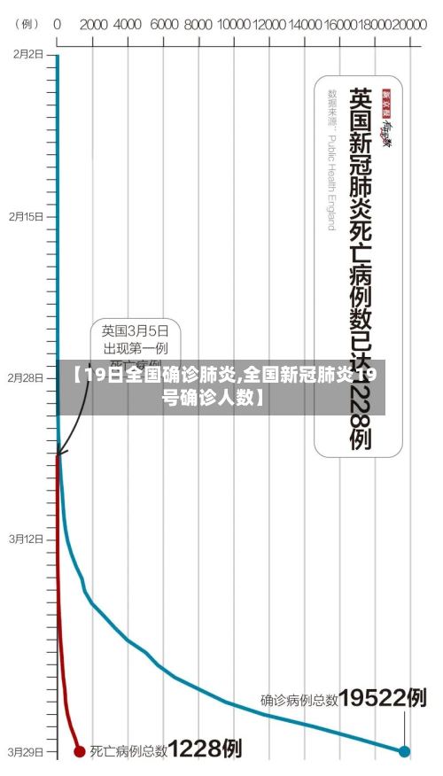 【19日全国确诊肺炎,全国新冠肺炎19号确诊人数】