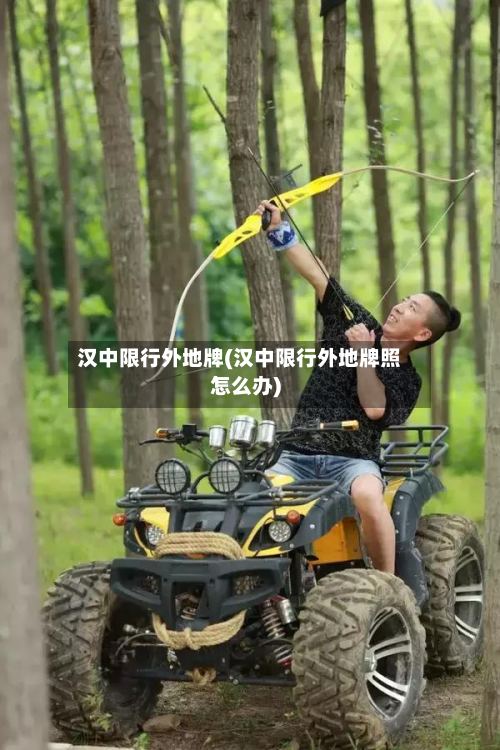 汉中限行外地牌(汉中限行外地牌照怎么办)