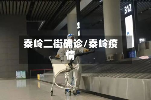 秦岭二街确诊/秦岭疫情