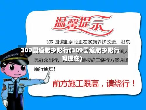 309国道肥乡限行(309国道肥乡限行吗现在)