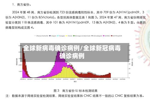 全球新病毒确诊病例/全球新冠病毒确诊病例