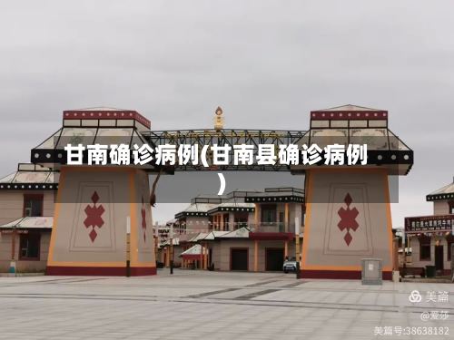 甘南确诊病例(甘南县确诊病例)-第2张图片