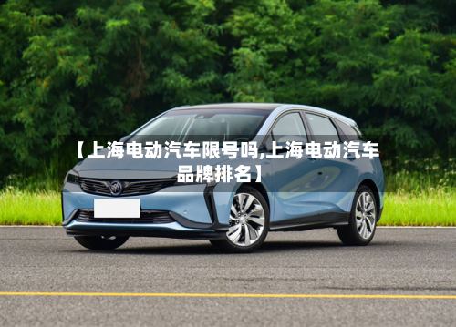 【上海电动汽车限号吗,上海电动汽车品牌排名】
