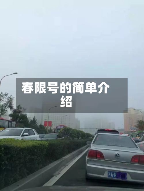 春限号的简单介绍
