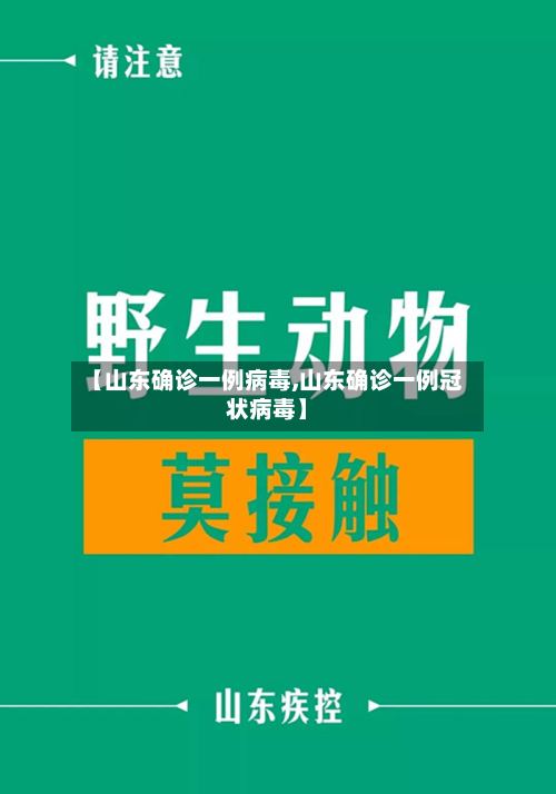 【山东确诊一例病毒,山东确诊一例冠状病毒】-第2张图片