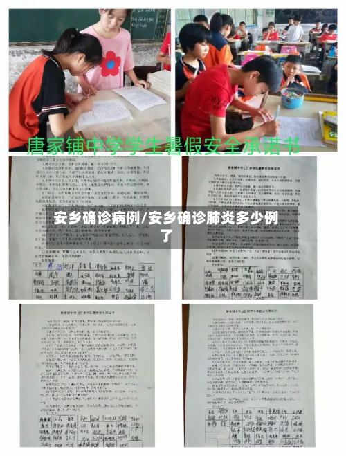 安乡确诊病例/安乡确诊肺炎多少例了