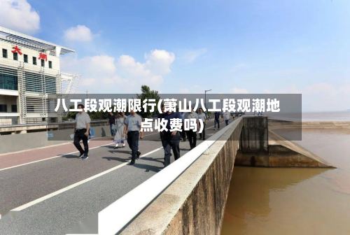 八工段观潮限行(萧山八工段观潮地点收费吗)