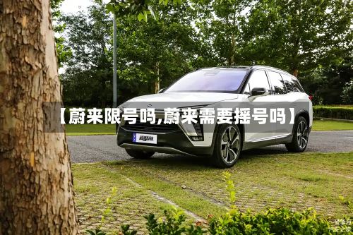 【蔚来限号吗,蔚来需要摇号吗】