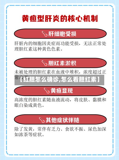 【红胆怎么确诊,怎么看胆红素】-第3张图片