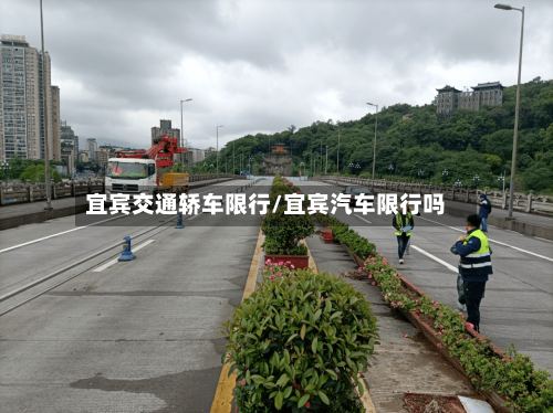 宜宾交通轿车限行/宜宾汽车限行吗-第2张图片
