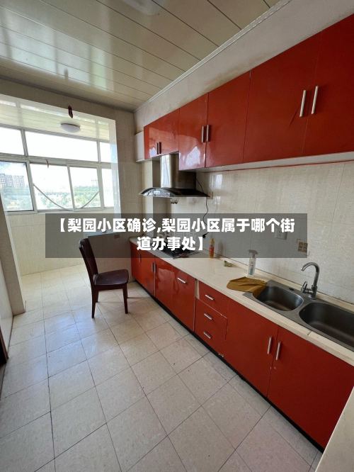 【梨园小区确诊,梨园小区属于哪个街道办事处】-第2张图片