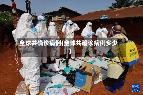 全球共确诊病例(全球共确诊病例多少)-第3张图片