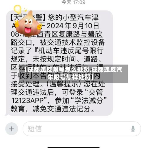 【成都违反限号怎么处罚,成都违反汽车限号怎样处罚】-第2张图片