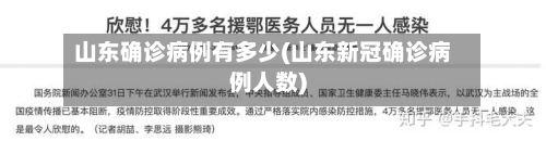 山东确诊病例有多少(山东新冠确诊病例人数)-第2张图片