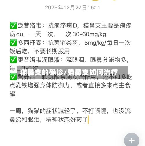 猫鼻支的确诊/猫鼻支如何治疗