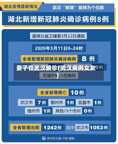 妻子在武汉确诊(武汉病例女友)-第3张图片