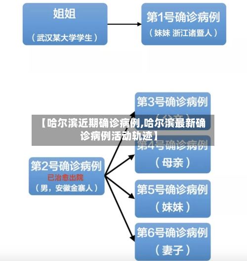 【哈尔滨近期确诊病例,哈尔滨最新确诊病例活动轨迹】