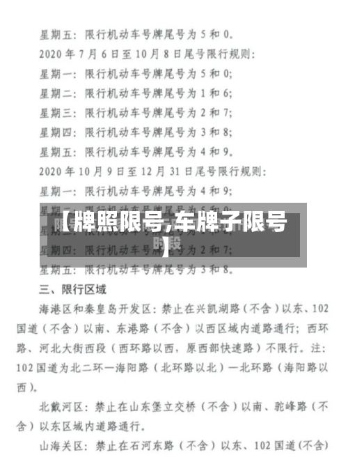 【牌照限号,车牌子限号】-第2张图片