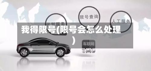 我得限号(限号会怎么处理)-第3张图片
