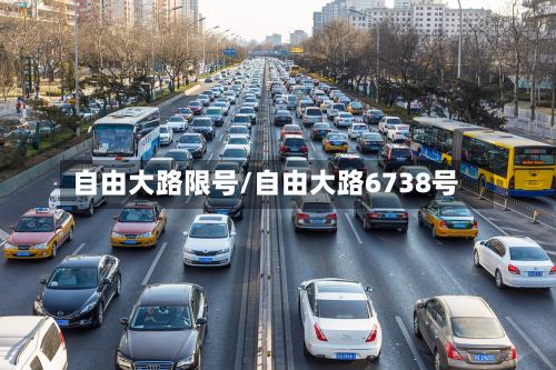 自由大路限号/自由大路6738号-第3张图片
