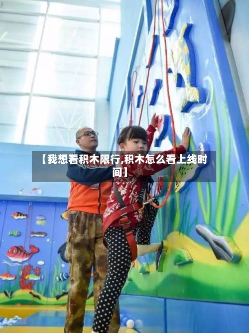 【我想看积木限行,积木怎么看上线时间】