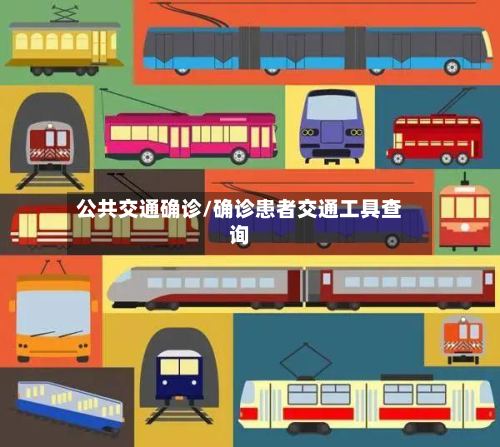 公共交通确诊/确诊患者交通工具查询-第2张图片