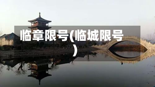 临章限号(临城限号)