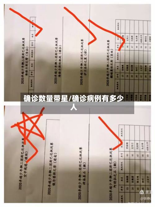 确诊数量带星/确诊病例有多少人