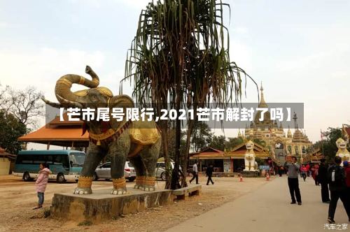 【芒市尾号限行,2021芒市解封了吗】