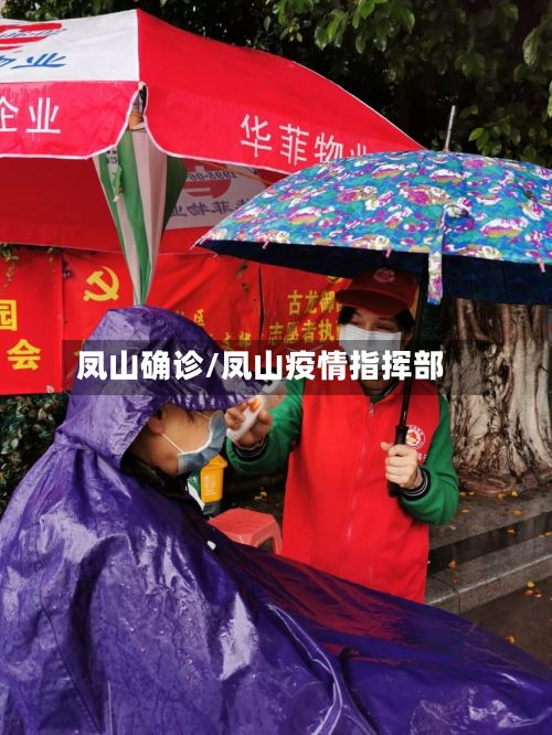 凤山确诊/凤山疫情指挥部-第2张图片