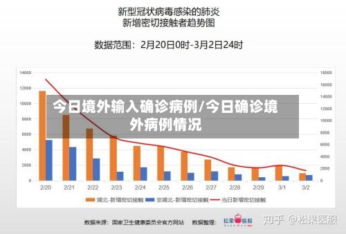 今日境外输入确诊病例/今日确诊境外病例情况-第2张图片