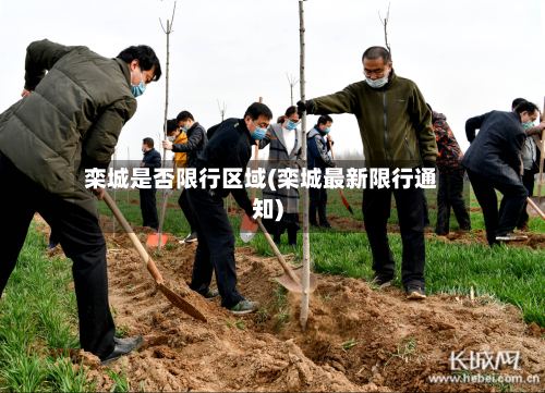 栾城是否限行区域(栾城最新限行通知)-第2张图片